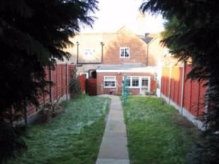 Picture 8