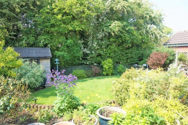 Rear garden