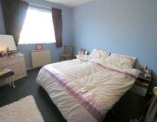 BED 1