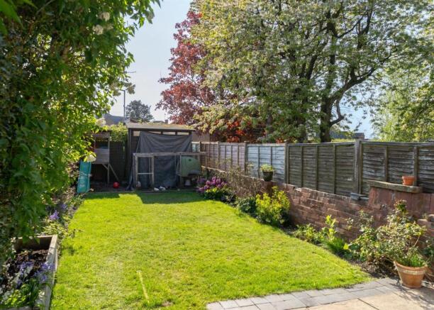 new garden.jpg