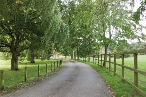Tree Lined Driveway