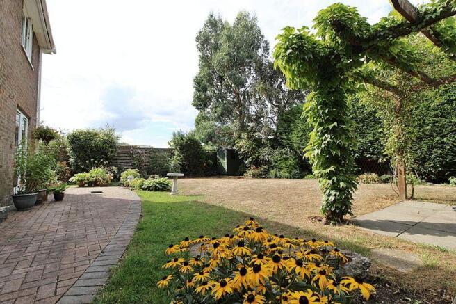 Photo 12