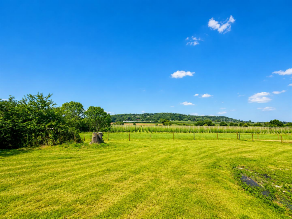 Garden and View