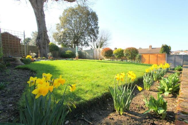 Wales Avenue Garden.jpg