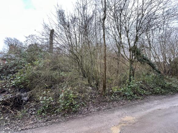 IMG 5613 T202602101257.jpg