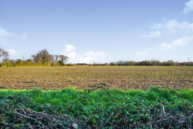 Field