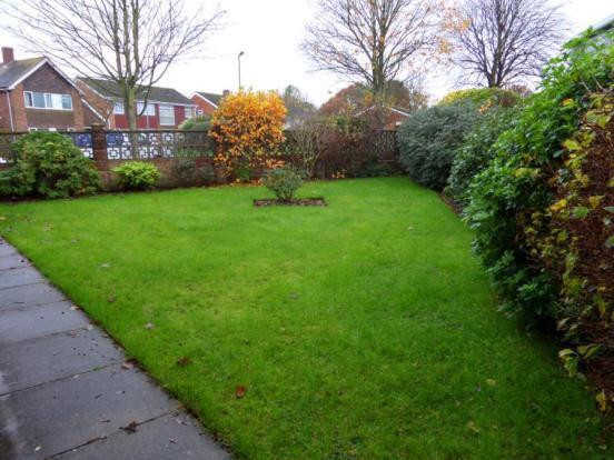 Side Garden