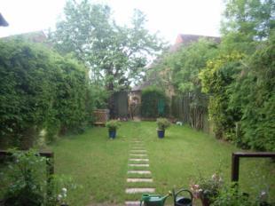 Picture No.10
