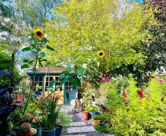 Garden in the summer.jpeg