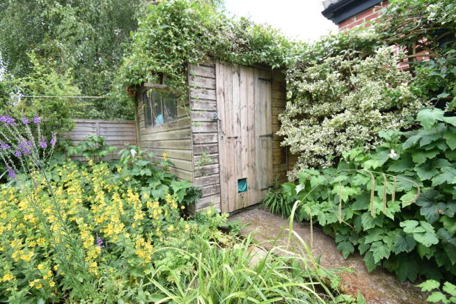Photo 15