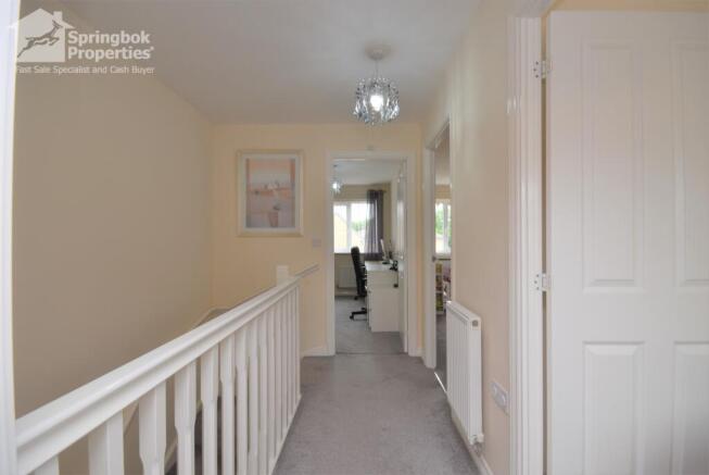 IMAGE 11