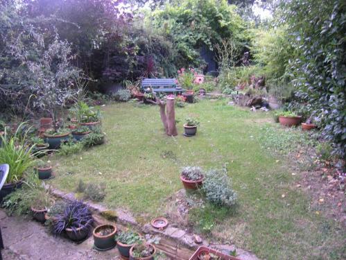 Photo 6