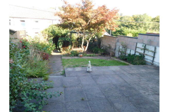 Photo 15