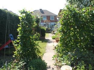 View From Bottom Of garden