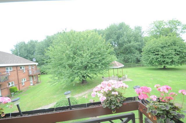 Balcony Views