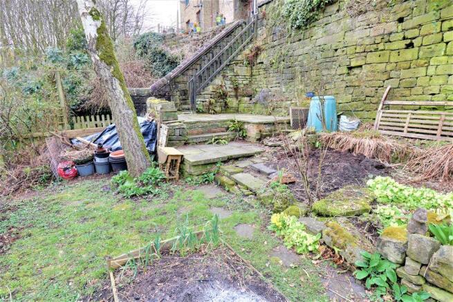 Garden at Back