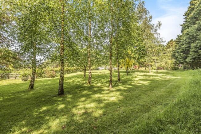 Former Orchard
