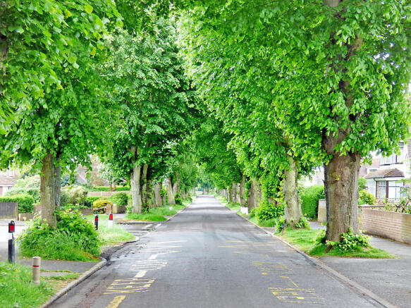 Old Manor Road - ...
