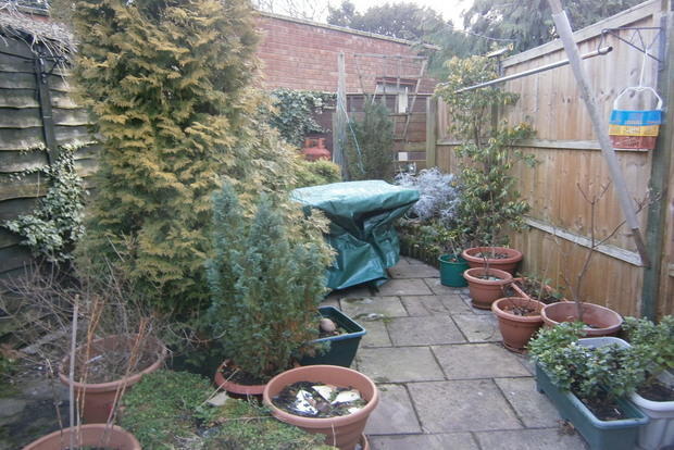 Photo 3