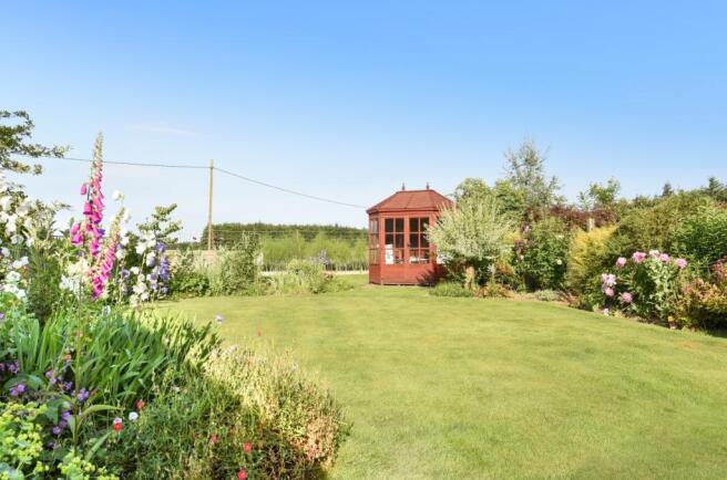Back garden