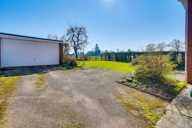 Back Garden