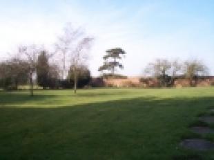 Extensive gardens