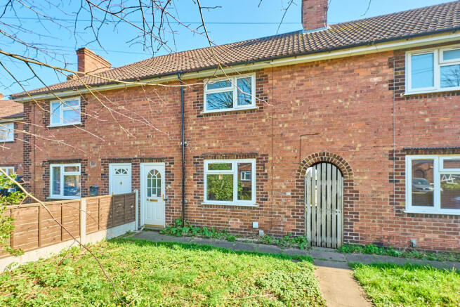 P1701196 T202603191624.jpg