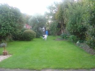 Garden2