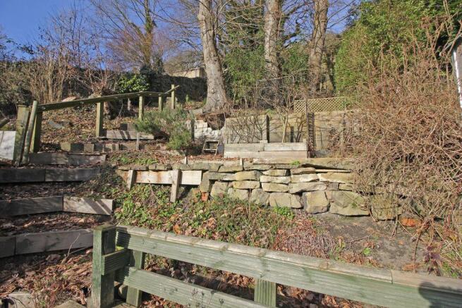 Garden at Back