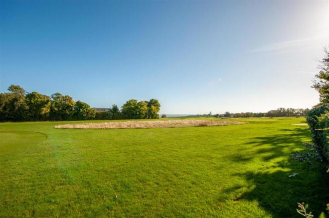 Golf Course.jpg