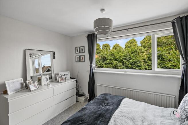 DSC00155.jpg