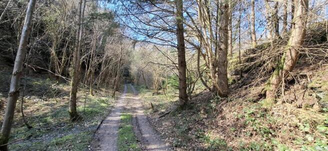 GROUNDS AND WOODLAND