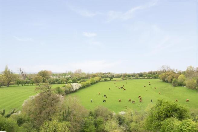 2_Nineacres view.jpg