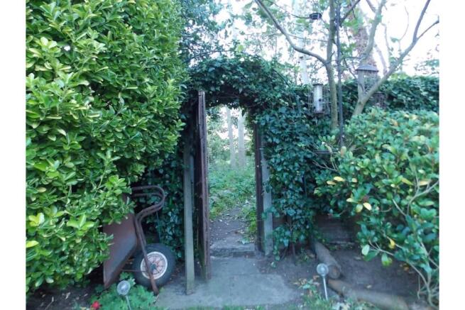Mature Garden