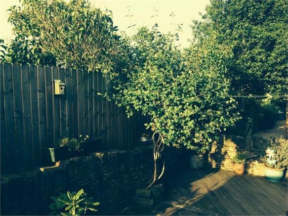 Photo 10