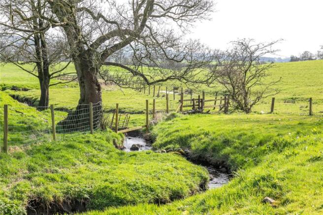Garden and Stream