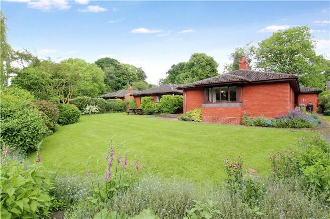 13 Garden