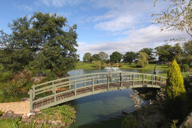 bridge