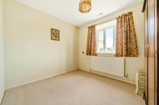 Picture 11