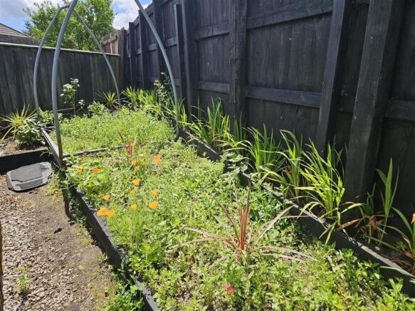 Wild Flower Garden.jpg