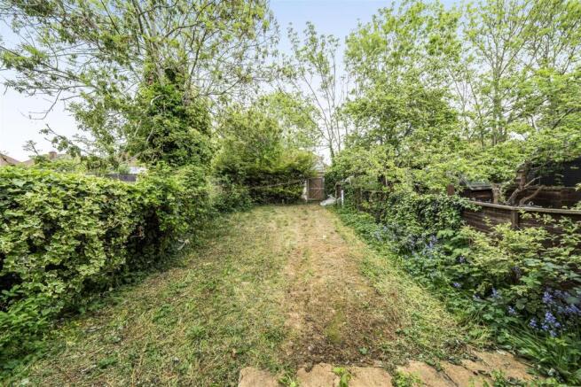 Garden 1.jpg