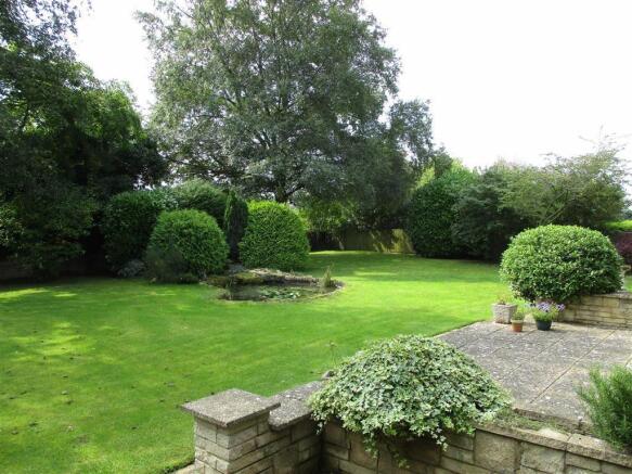 Rear Gardens
