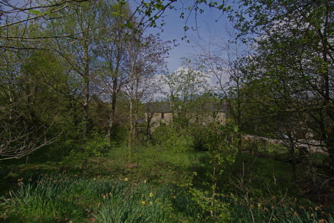 Photo 27