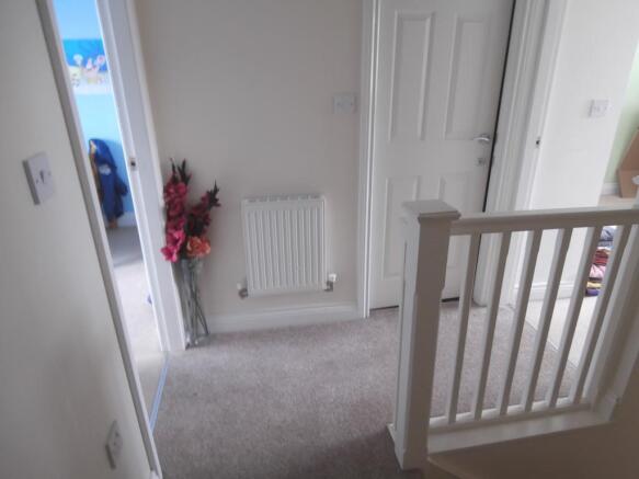 Image 12