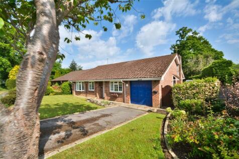 Haglands Copse, West Chiltington, Pulborough, West Sussex, RH20