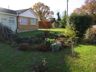 Side Garden