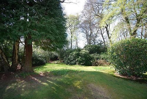 Grounds