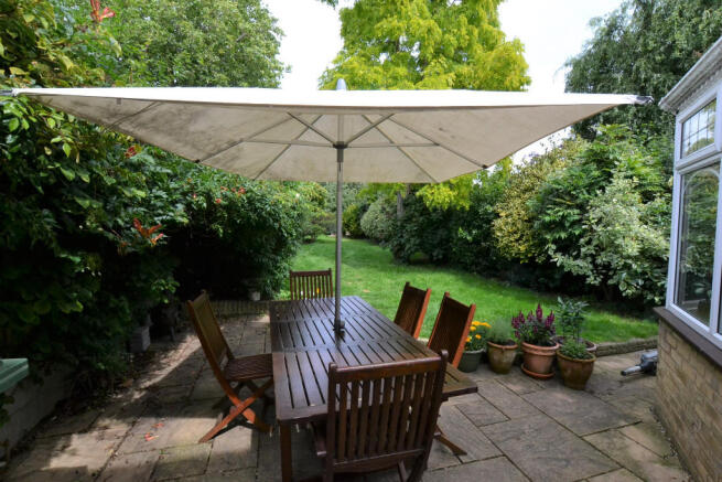 Patio Area