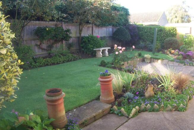 South facing garden