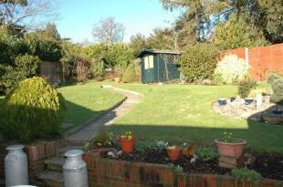 Garden Shot 1